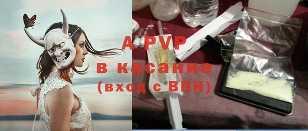 гашик Алексин