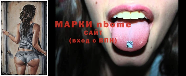 гашик Алексин
