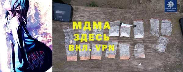 гашик Алексин
