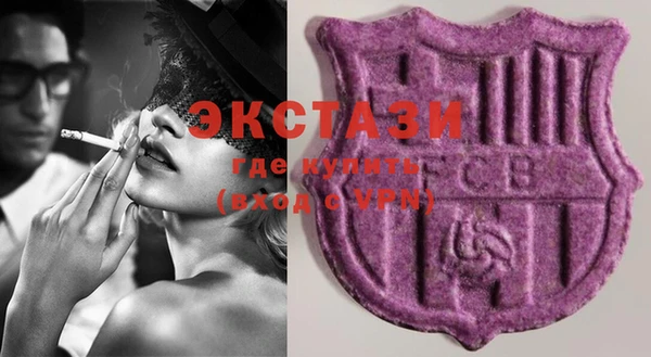 гашик Алексин