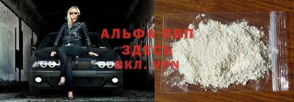 гашик Алексин