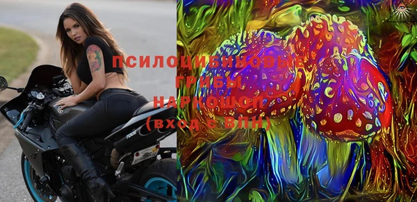 гашик Алексин