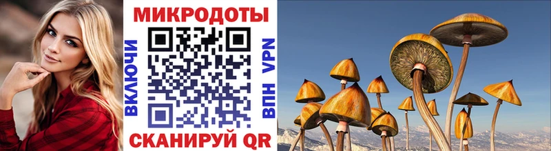 Галлюциногенные грибы Cubensis  Находка 