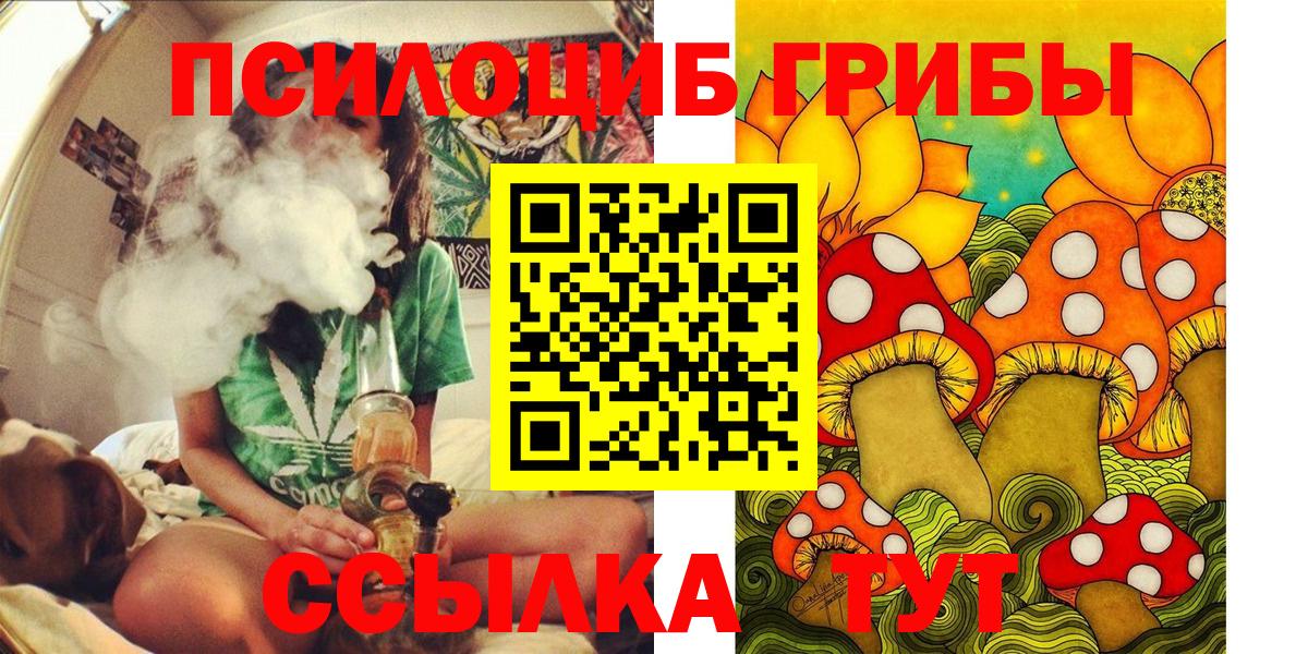 Находка  Галлюциногенные грибы Psilocybe  купить закладку  Вход с VPN  Галлюциногенные грибы прущие грибы 