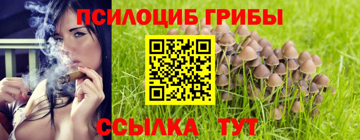 Псилоцибиновые грибы мухоморы Находка